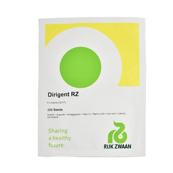 Kurk Dirigent F1 puhtimata 250s