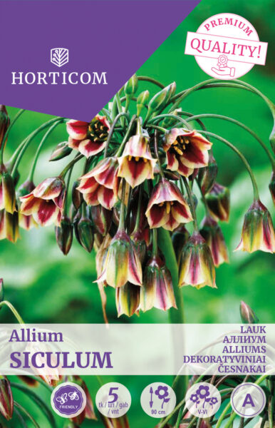 Lauk Allium Siculum 5tk A