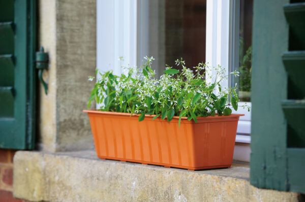 Rõdukast Super 80cm 13L terra