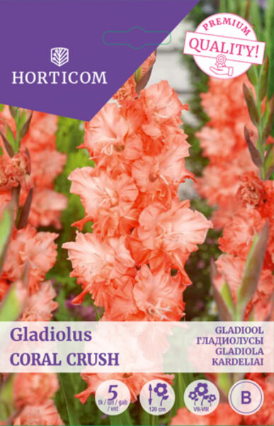 Gladiool (ruffled) Coral Crush 5tk B