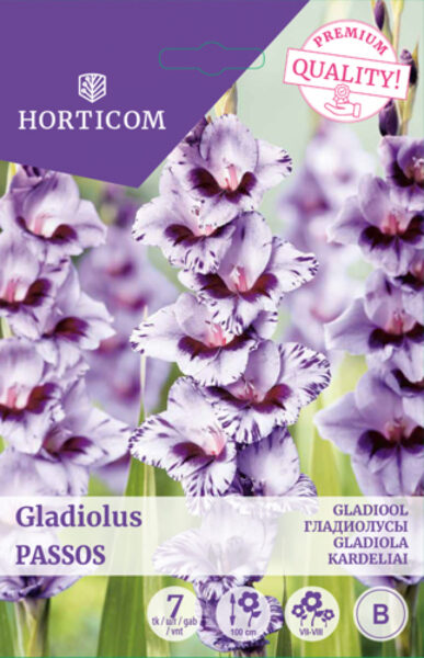 Gladiool (suureõieline) Passos 7tk B