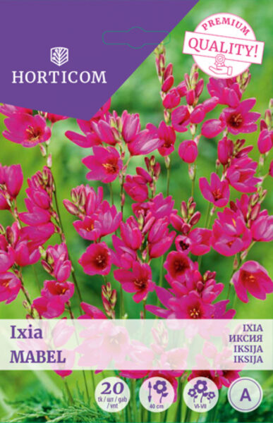 Vikerõis Ixia Mabel 20tk A