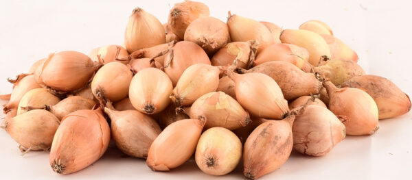 Tippsibul Setton d 21/24 25kg