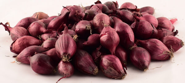 Tippsibul Karmen d 14/21 25kg