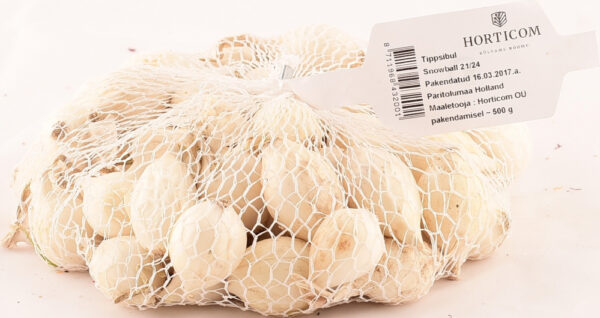 Tippsibul Snowball d 21/24 25kg