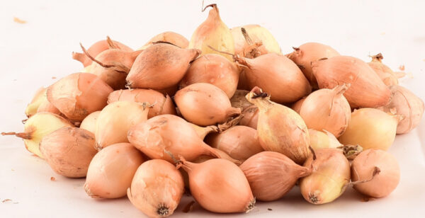 Tippsibul Cupido F1 14/21 25kg