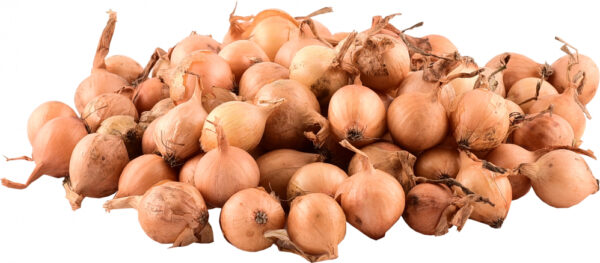 Tippsibul Karmen kuumtöödeldud d 21/24 25kg