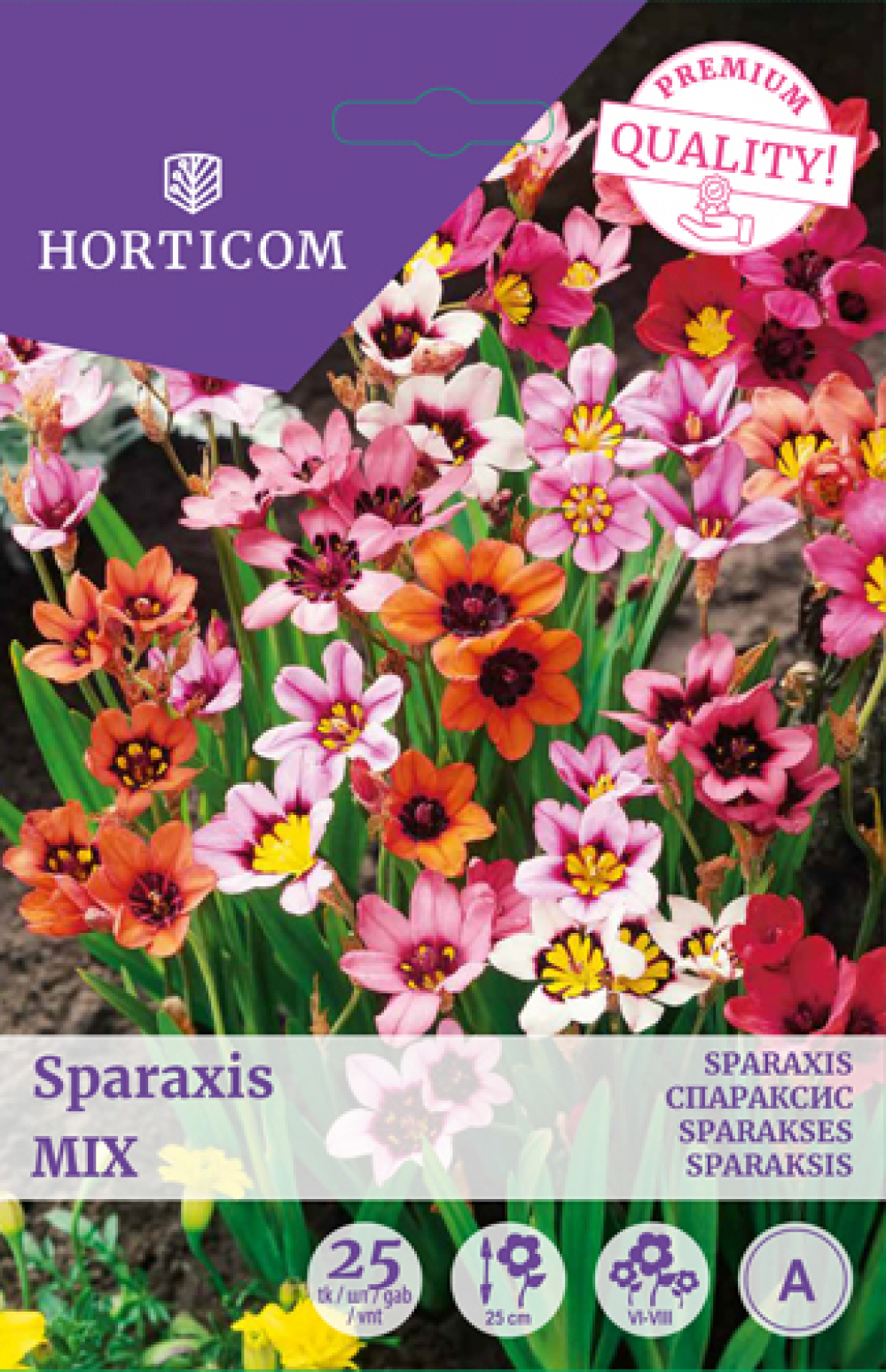 Narriõis Sparaxis Mix 25tk A