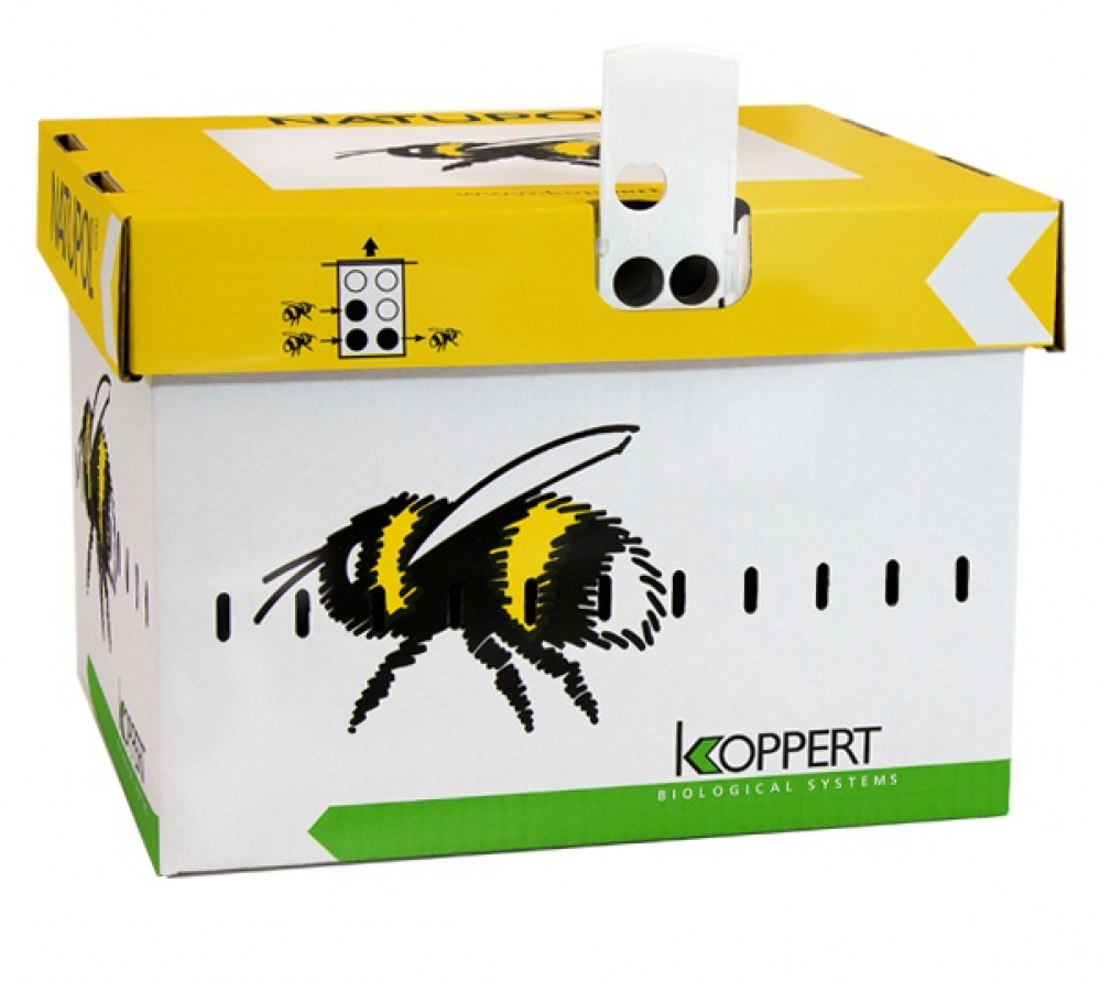 Biotõrje Kimalaspesa Natupol Standard (Bombus terrestris) (al 2000 m²)