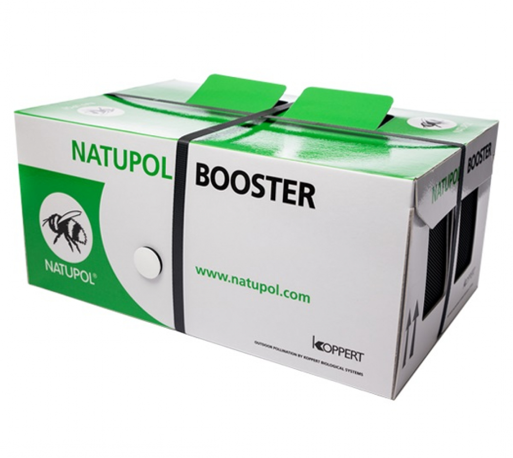Biotõrje Kimalaspesa Natupol Booster (Bombus terrestris) (avamaa kultuurid)