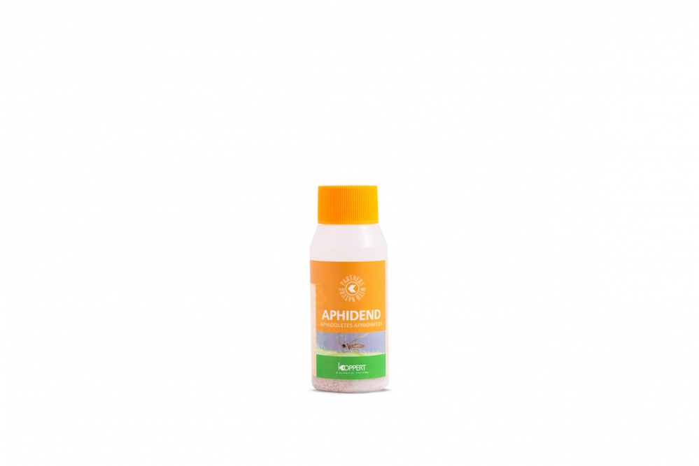 Biotõrje Aphidend (Aphidoletes aphidimyza) 1000 kasurit 100ml (lehetäi)