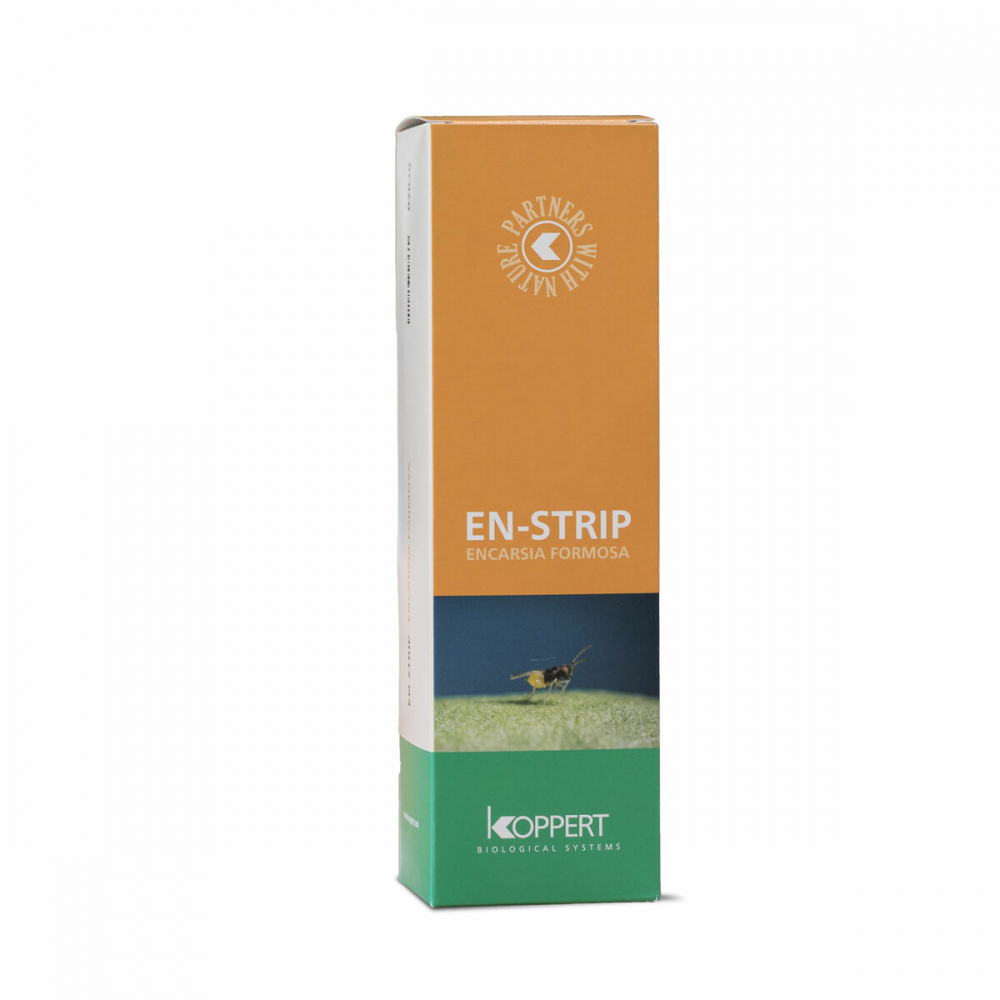 Biotõrje En-strip (Encarsia formosa) 15000 kasurit (karilased)