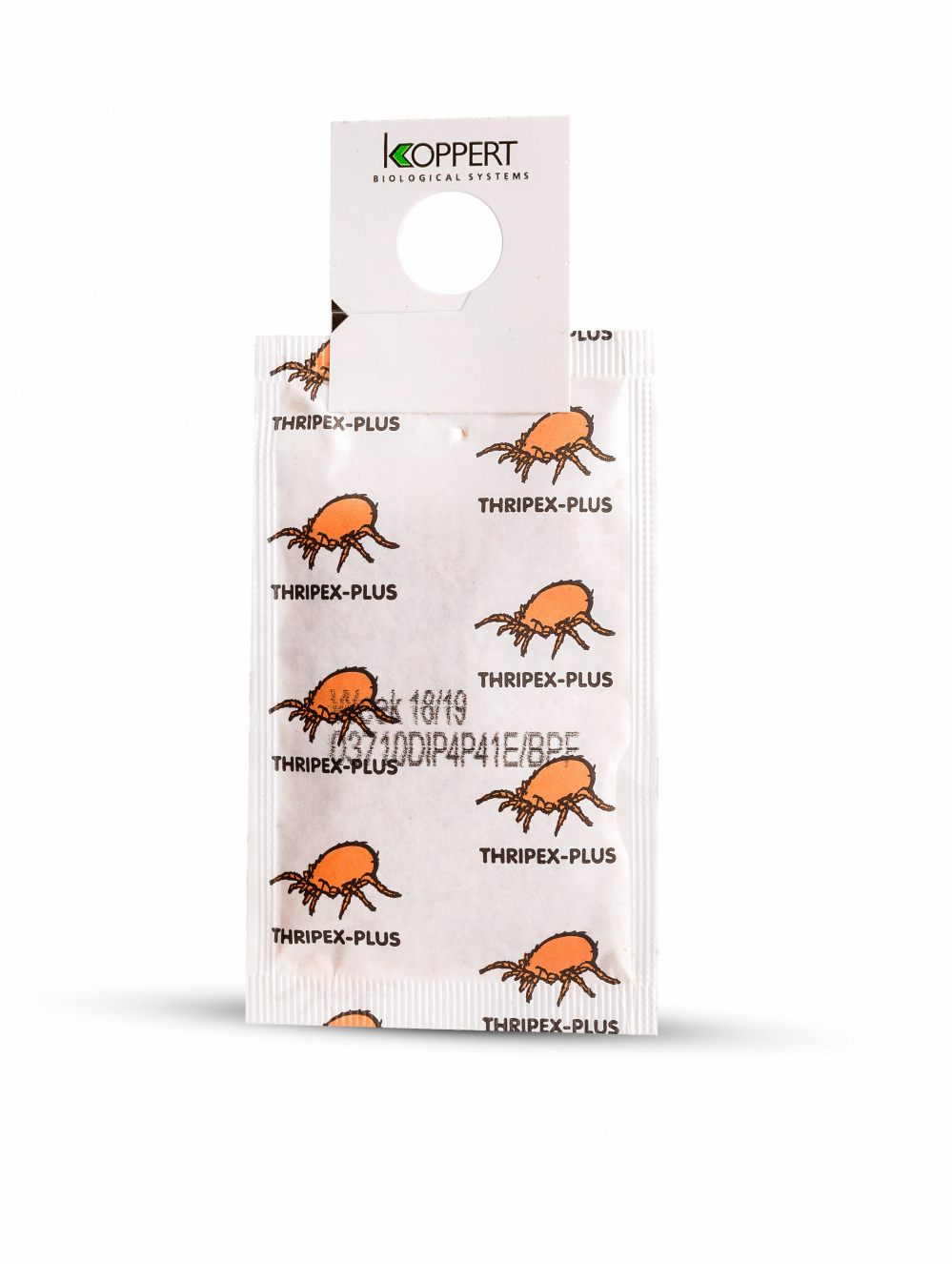 Biotõrje Thripex-plus (Neoseiulus cucumeris) 500 kt x 1000 kasurit (ripslane)