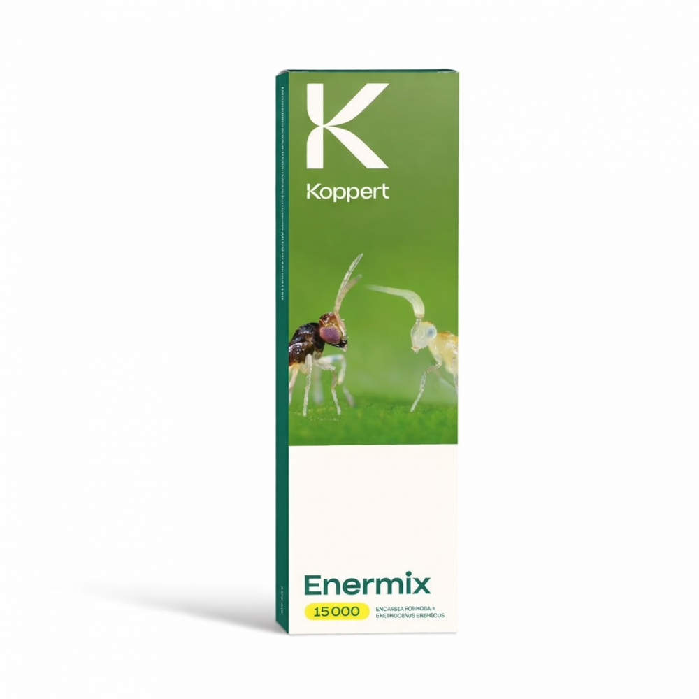 Biotõrje Enermix (Encarsia eremicus encarsia formosa) 15000 kasurit (karilased)