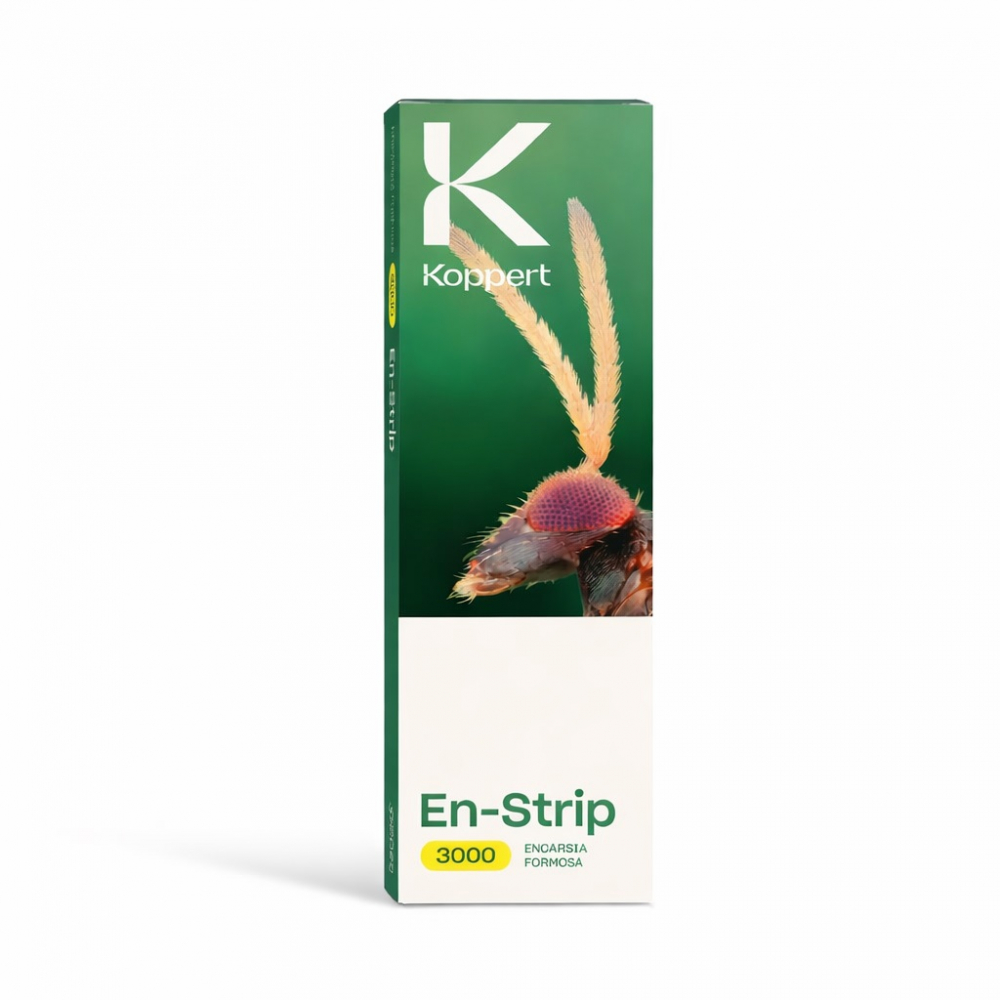 Biotõrje En-Strip (Encarsia formosa) 3000 kasurit (karilased)