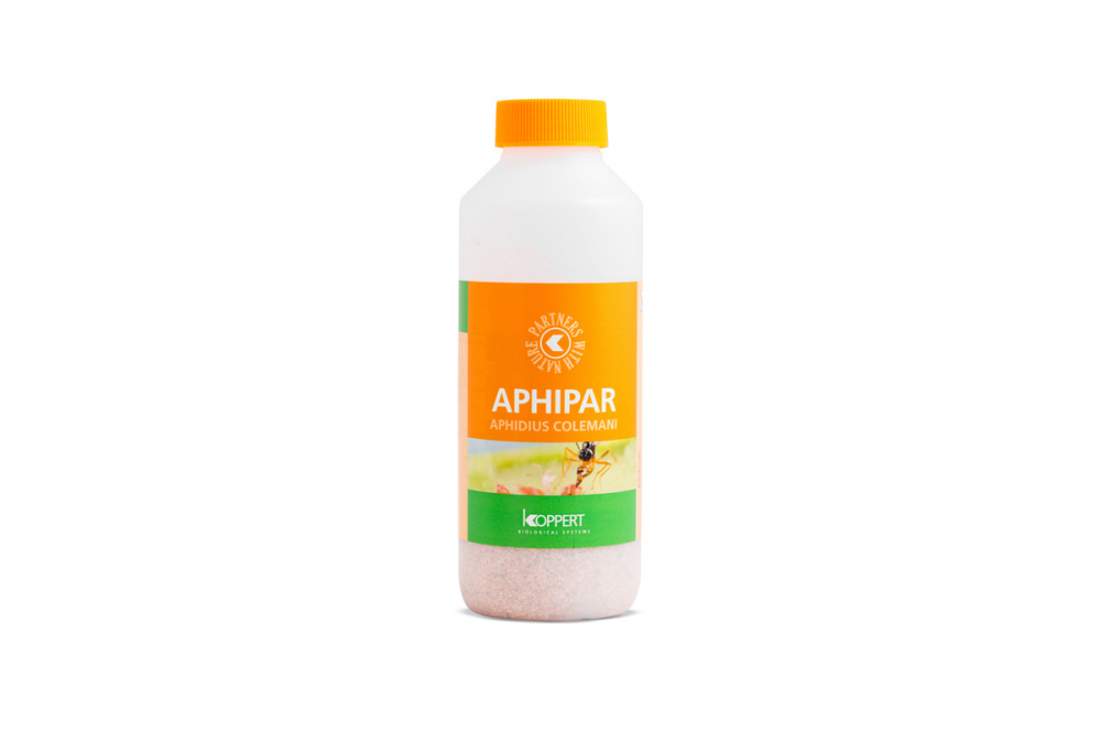 Biotõrje Aphipar (Aphidius colemani) 500 kasurit 100ml (lehetäi)