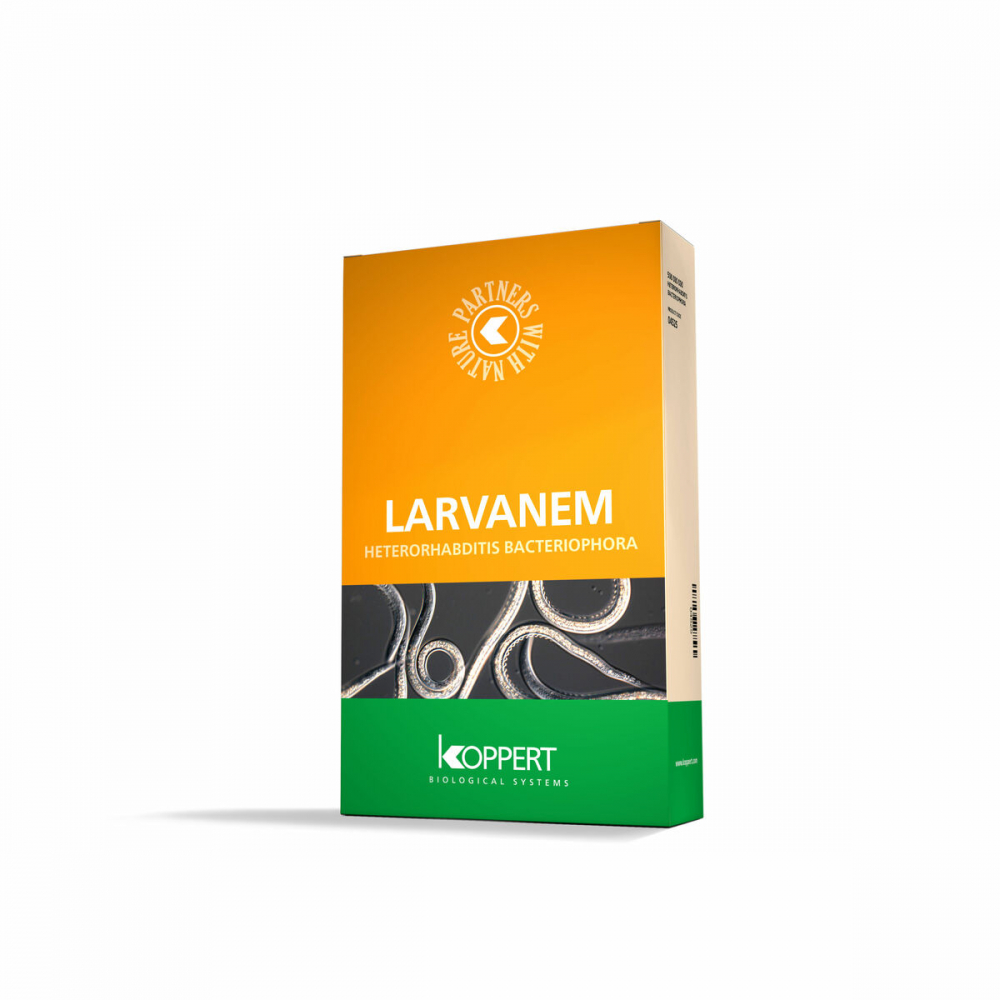 Biotõrje Larvanem (Heterorhabditis bacteriophora) 2 kt x250 milj kasurit