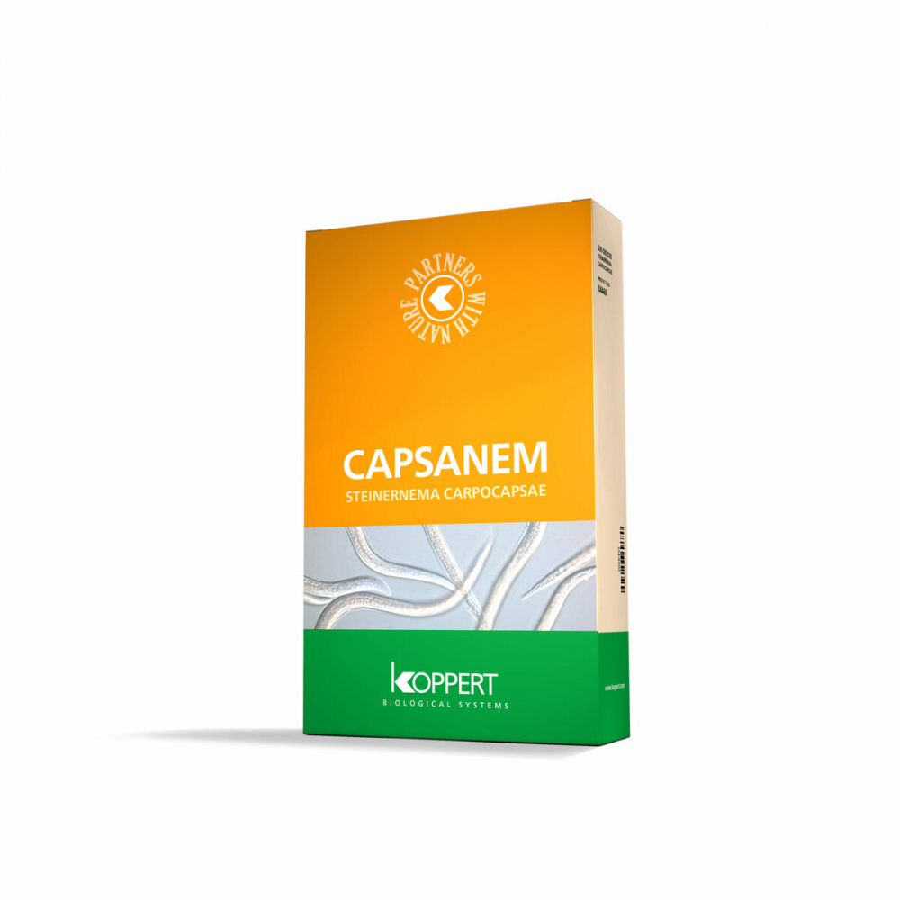 Biotõrje Capsanem (Steinernema carpocapsae) 2 kt x 25 milj kasurit (vastsed, röövikud)