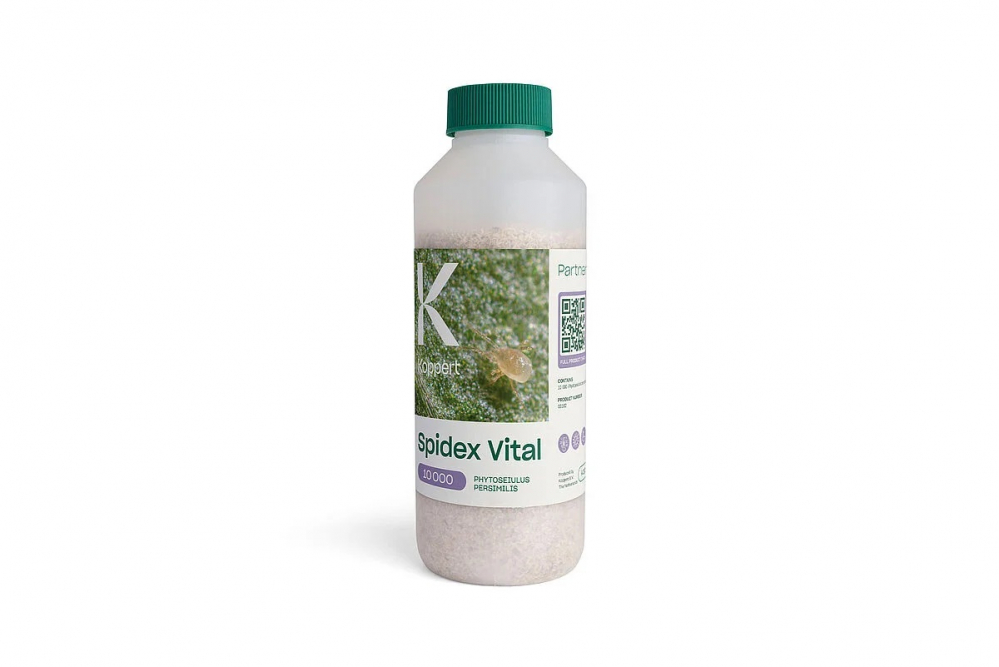Biotõrje Spidex Vital (Phytoseiulus persimilis) 10000 kasurit 500ml (kedriklest)