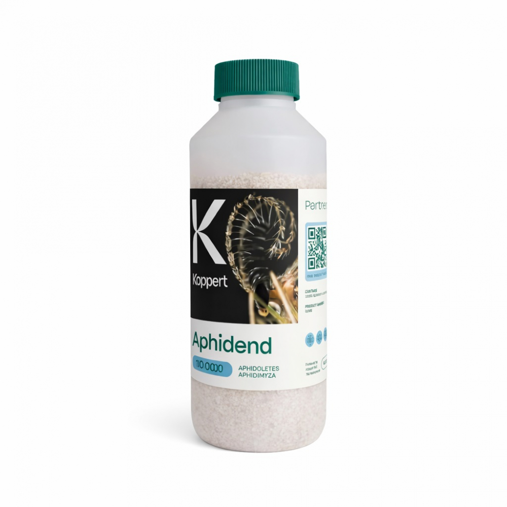 Biotõrje Aphidend (Aphidoletes aphidimyza) 10000 kasurit 500ml (lehetäi)