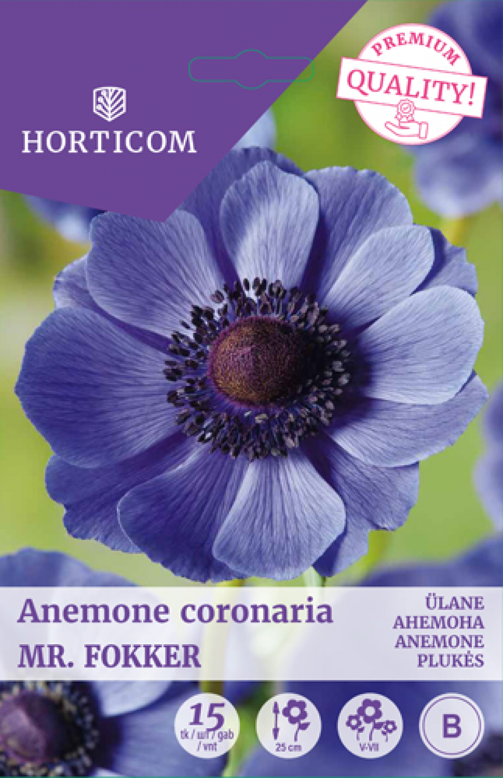 Kroonjas ülane Anemone Coronaria Mr Fokker 15tk B