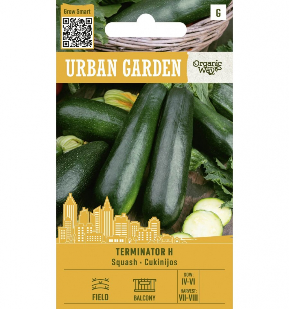 Suvikõrvits Terminator H