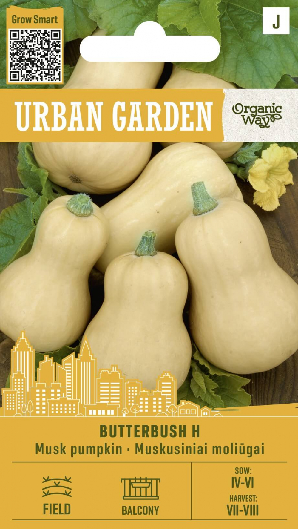 Muskaatkõrvits Butterbush H