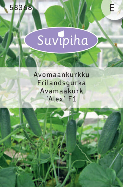 Kurk Alex F1 10seemet (avamaa) E