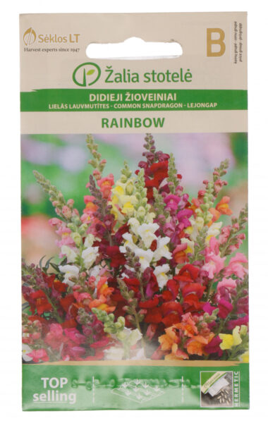 Suur lõvilõug Snapdragon Rainbow - Anthirrhinum majus L.