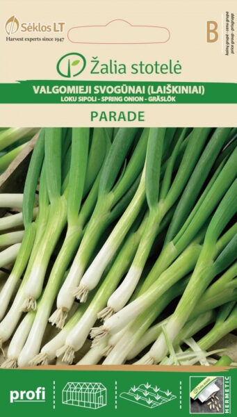 Salatsibul Parade - Allium fistulosum L.