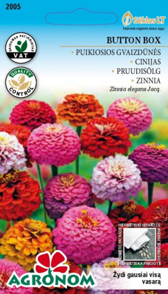 Pruudisõlg jorjenikujuline Button Box - Zinnia elegans dahlienflora