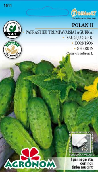 Kurk Polan H - Cucumis sativus L.