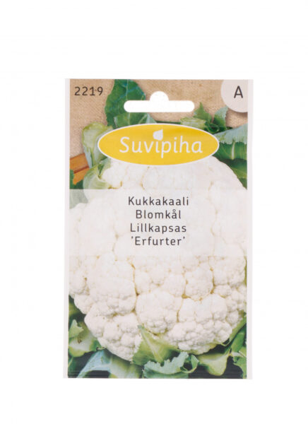 Lillkapsas Erfurter 0,5g A