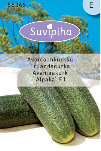 Kurk Alpaca (avamaa) 10s E