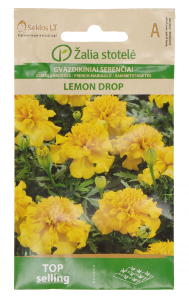 Madal peiulill French Marigold Lemon Drop - Tagetes patula L.