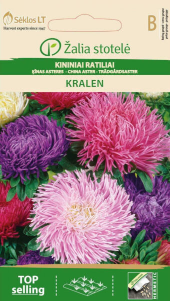 Aedaster China Aster Kralen Mix - Callistephus chinensis L. Ness