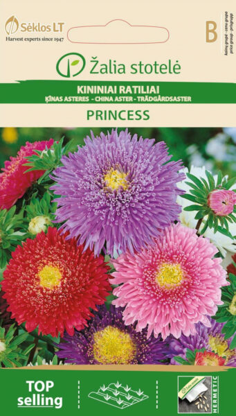 Aedaster China Aster Princess Mix - Callistephus chinensis L. Ness
