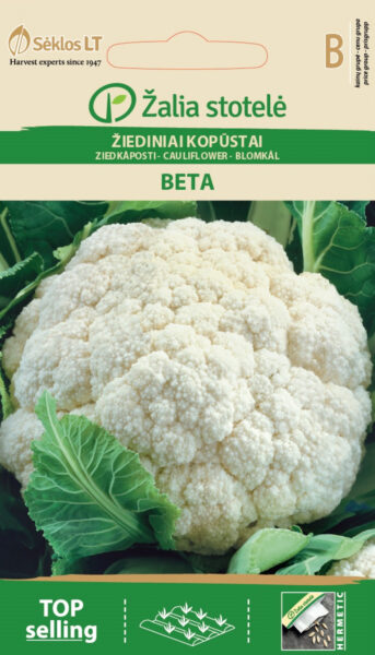 Lillkapsas Beta - Brassica oleracea L.