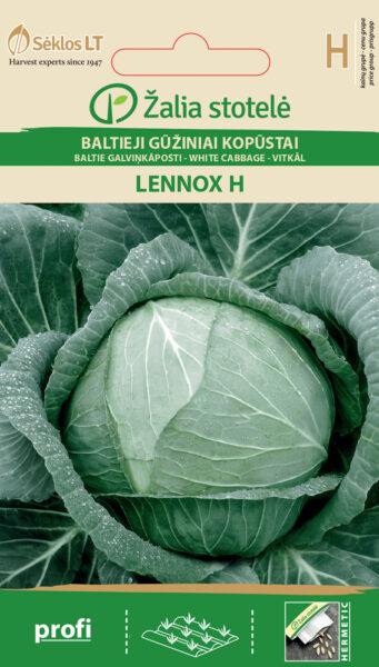 Kapsas Lennox H - Brassica oleracea L.