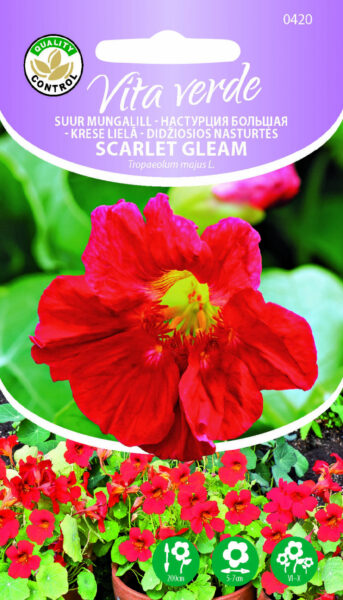 Suur Mungalill Scarlet Gleam