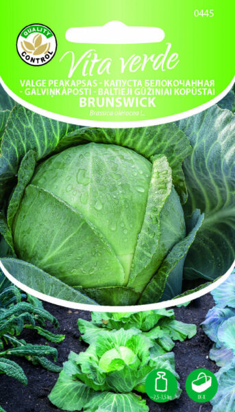 Valge Peakapsas Brunswick