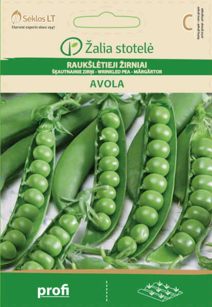 Hernes Avola - Pisum sativum L. partim