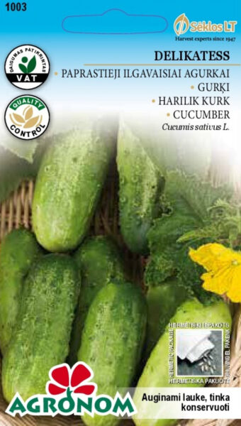 Kurk Delikatess - Cucumis sativus L.