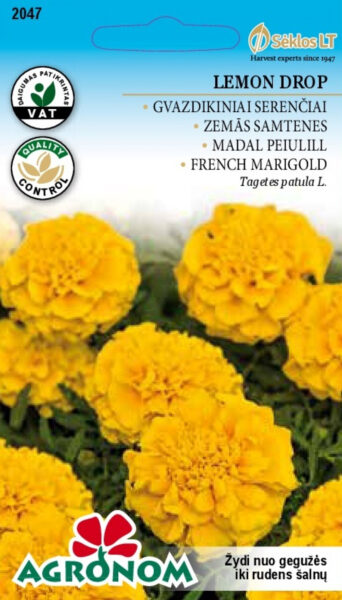 Madal peiulill Lemon Drop Tagetes patula L.