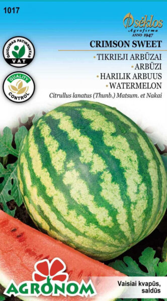 Arbuus Crimson Sweet - Citrullus lanatus Thunb. Matsum. et Nakai