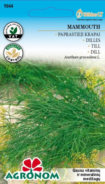 Till Mammouth - Anethum graveolens L.