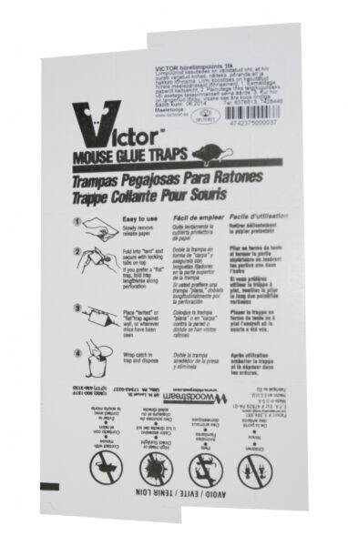 Hiire liimpüünis Victor