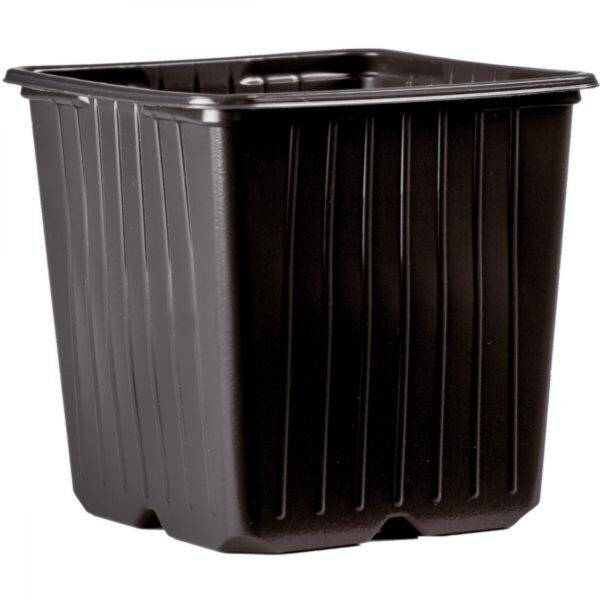 Nelikantpott 9 x 9 x 8cm must Desch 1216tk