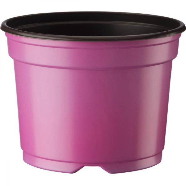 Ümarpott 12cm 5° L roosa Desch 988tk