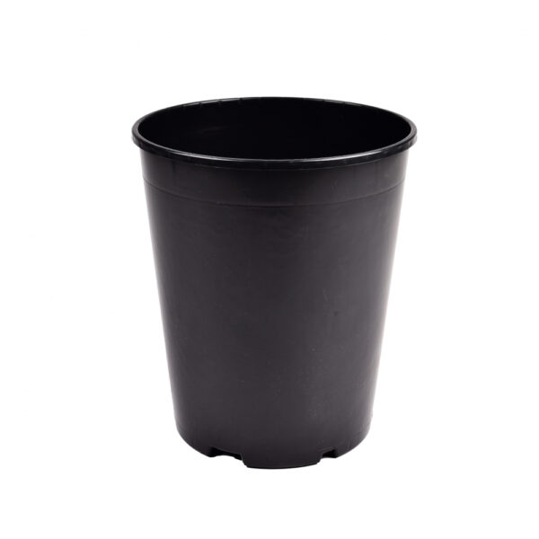Roosikonteiner 7L 22 x 25,6cm IPP Desch